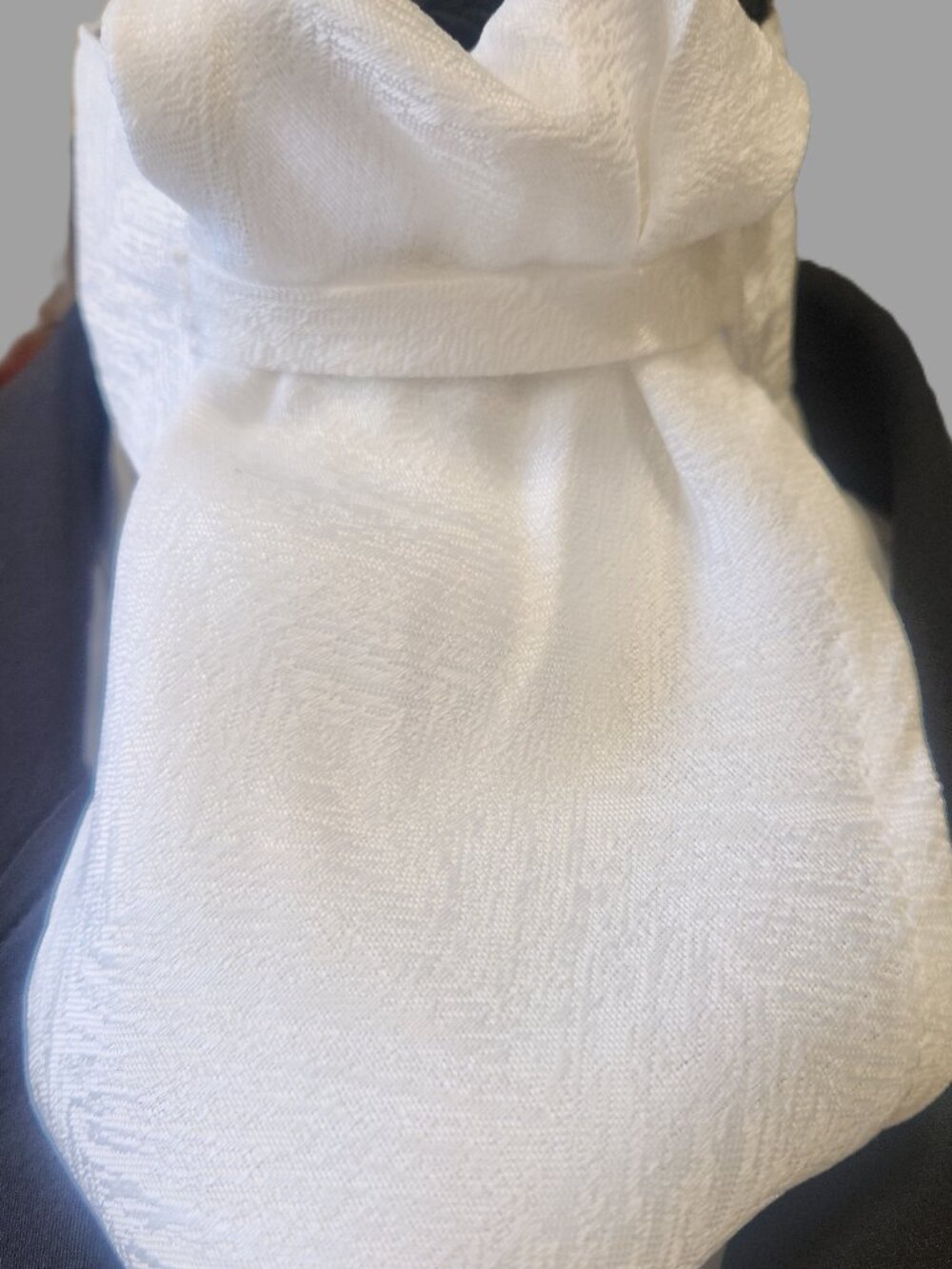 STOCK TIE for Equestrians Pre-Tied BRIGHT WHITE Faint Texture New ORNAMENTS